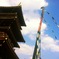 奈良の薬師寺