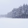 北海道の冬