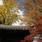 秋の龍福寺