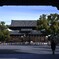 朝の東寺　⑤。。。！