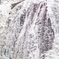 water fall of fukuroda at 10:33 Jan,30 2