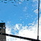 After Rain