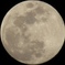昨日のお月さん