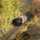 秋のわたらせ渓谷鉄道