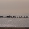 蘭島