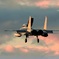 夕陽に輝く　f-15