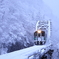 まだまだ降り続く雪に向かう列車