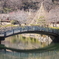 薬師池公園　太鼓橋！