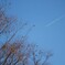 冬の空に飛行機雲