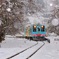 樽見鉄道　冬物語②