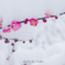 紅梅に雪化粧４