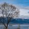 琵琶湖冬景色