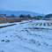 2026-2-7 小休止の降雪③