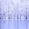 雪積もる水辺