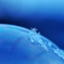 Snow crystal　-ⅲ-