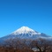 おひるの富士山