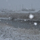 雪が舞う