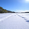 農道雪化粧