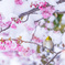 雪桜とサクジロー その１