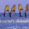 ④ 沖では、ウィンドサーフィンをしてました。