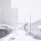 東京のとある雪の日