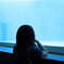 shine screen