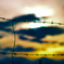 barbed wire