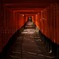 Fushimi Inari 伏見稻荷大社