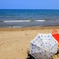 Widow on the beach