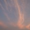 DSCN0788