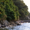 緑が陽を浴びて