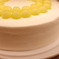 ショーケース