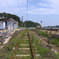 未だ列車の走らない線路