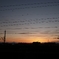 夕日