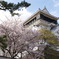 お城。