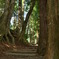 旧中山道