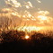 Sun goes by...