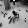 鳩や