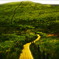 Path