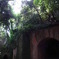 2011　猿島