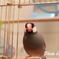・・・ん？呼んだ？
