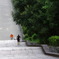 盛夏の森林浴－３