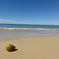 大好きなHapuna Beach♪
