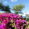 DSC03700