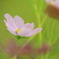 photo_1346664