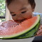 夏の思い出