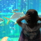 初めての水族館
