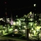 初めての夜景