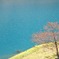 四万湖の水の色