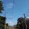 コバルトブルー